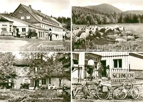 AK / Ansichtskarte Schmuecke Ausflugsgaststaette Sachsenstein Forsthaus Sattelbach  Schmuecke