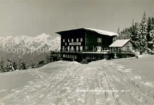 AK / Ansichtskarte Schwaz_Tirol_AT Alpenhof Gamsstein 