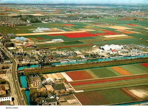 AK / Ansichtskarte Niederlande Bollenvelden Niederlande