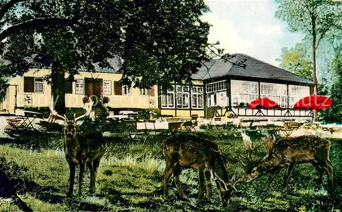 AK / Ansichtskarte Braunfels Forsthaus im Tiergarten Braunfels