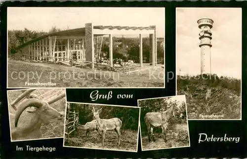 AK / Ansichtskarte Petersberg_Halle HOG Fernsehgaststaette Fernsehpavillon Fernsehturm Tiergehege Petersberg_Halle
