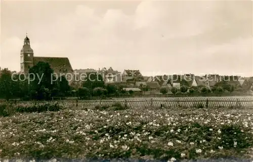 AK / Ansichtskarte Harzgerode Ortsansicht mit Kirche Harzgerode