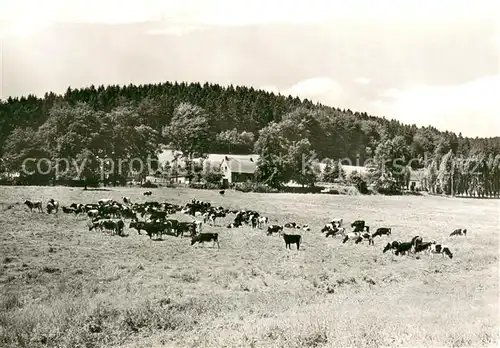 AK / Ansichtskarte Engelsbach Rinderweide Panorama Engelsbach