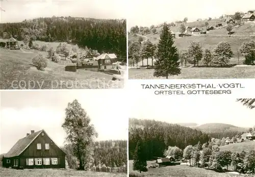 AK / Ansichtskarte Gottesberg_Tannenbergsthal Panorama Wohnhaus Gottesberg