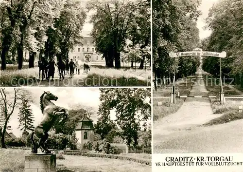 AK / Ansichtskarte Graditz VE Hauptgestuet fuer Vollblutzucht Pferdeskulptur Eingang Graditz
