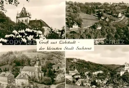AK / Ansichtskarte Liebstadt Schloss Panorama Kirche Liebstadt