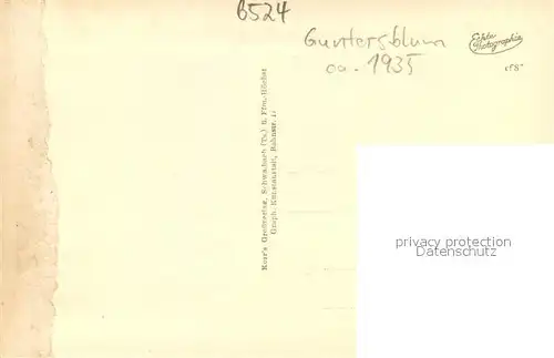 AK / Ansichtskarte Guntersblum Schloss Guntersblum