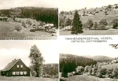 AK / Ansichtskarte Gottesberg_Tannenbergsthal Teilansichten Landschaft Gottesberg