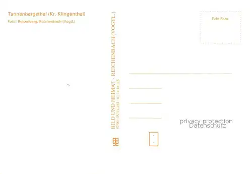 AK / Ansichtskarte Gottesberg_Tannenbergsthal Teilansichten Landschaft Gottesberg