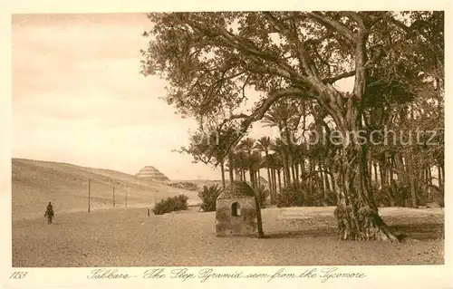 AK / Ansichtskarte Sakkara_Saqqarah The Step Pyramid seen from the Sycomore Sakkara Saqqarah