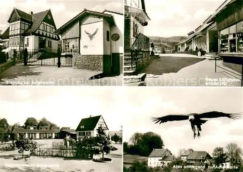 AK / Ansichtskarte Berlebeck Adlerwarte Eingang Kaefighaus  Berlebeck