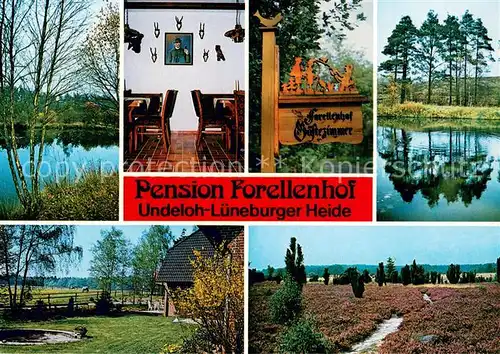 AK / Ansichtskarte Undeloh Pension Forellenhof Teiche Gaststube Landschaften Undeloh