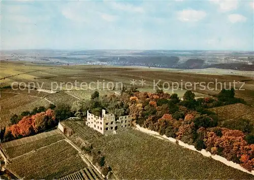 AK / Ansichtskarte Oppenheim Ruine Landskrone Fliegeraufnahme Oppenheim