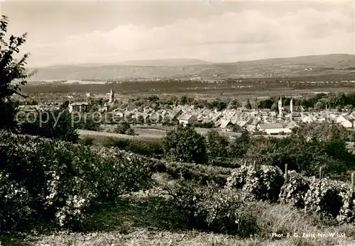 AK / Ansichtskarte Bingen_Rhein Niederingelheim Bingen Rhein