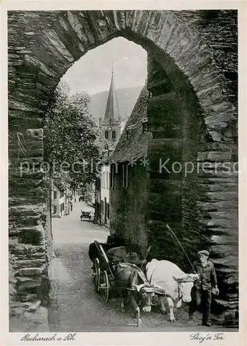 AK / Ansichtskarte Bacharach_Rhein Steeger Tor Ochsen Gespann Bacharach Rhein
