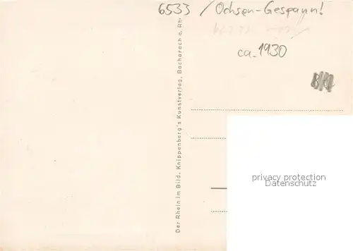 AK / Ansichtskarte Bacharach_Rhein Steeger Tor Ochsen Gespann Bacharach Rhein