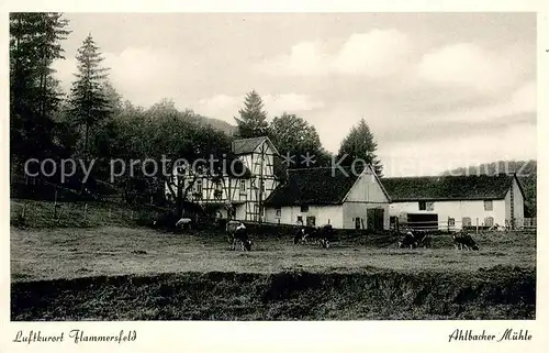 AK / Ansichtskarte Hammersfeld Ahlbacher Muehle Aussenansicht Kuhweide Hammersfeld