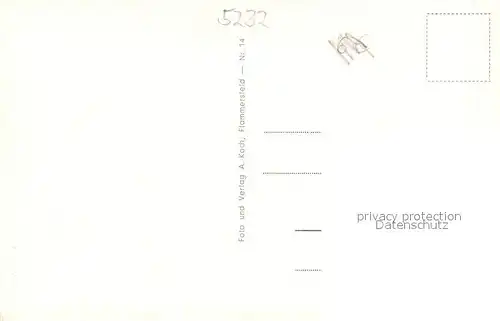 AK / Ansichtskarte Hammersfeld Ahlbacher Muehle Aussenansicht Kuhweide Hammersfeld