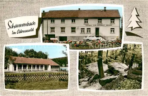 AK / Ansichtskarte Schannenbach Gasthaus Pension Zum Odenwald Schannenbach