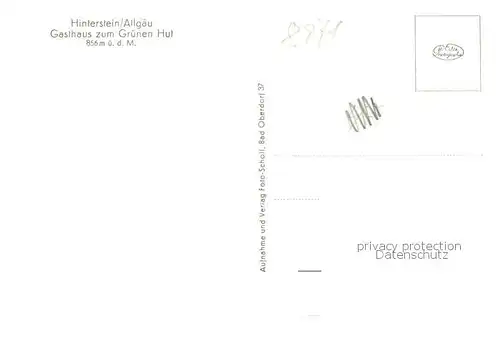 AK / Ansichtskarte Hinterstein_Bad_Hindelang Gasthaus zum Gruenen Hut Hinterstein_Bad_Hindelang