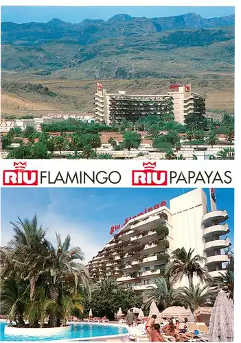 AK / Ansichtskarte Playa_del_Ingles_Gran_Canaria_ES Apartahotel Fiu Flamingo Pool 