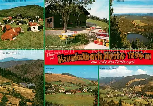 AK / Ansichtskarte Bernau_Schwarzwald Herzogenhorn Krunkelbach Huette Feldsee Belchen Bernau Menzenschwand Bernau Schwarzwald