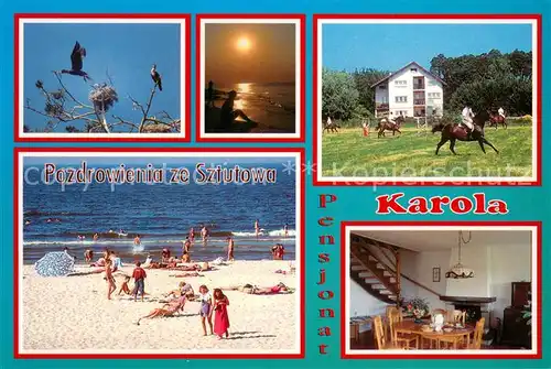 AK / Ansichtskarte Sztutowo_PL Pensjonat Karola Strand Reiten Aufenthaltsraum 