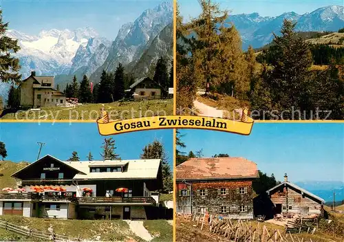 AK / Ansichtskarte Gosau_Salzkammergut_AT Gablonzerhaus und Breininghuette mit Dachstein Sonnenalm Gaststaette Zwieselalm 