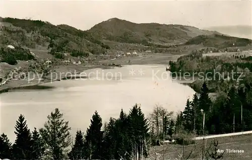 AK / Ansichtskarte Tuerlersee Panorama Tuerlersee