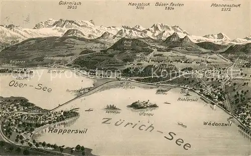 AK / Ansichtskarte Rapperswil_Zuerichsee_BE Panoramakarte mit Ober See 