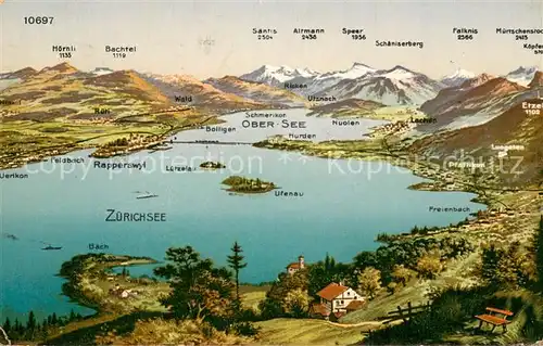 AK / Ansichtskarte Zuerichsee_ZH Panoramakarte Zuerichsee ZH