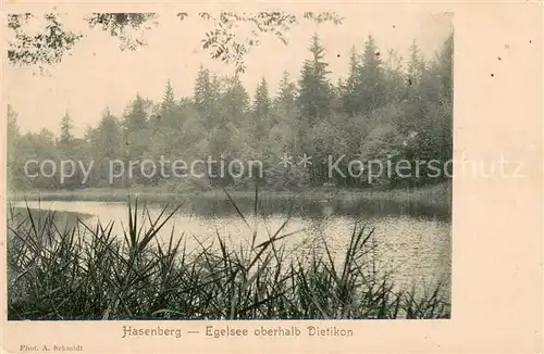 AK / Ansichtskarte Dietikon_ZH Hasenberg Egelseepartie 