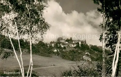 AK / Ansichtskarte Regensberg_Dielsdorf_ZH Panorama 