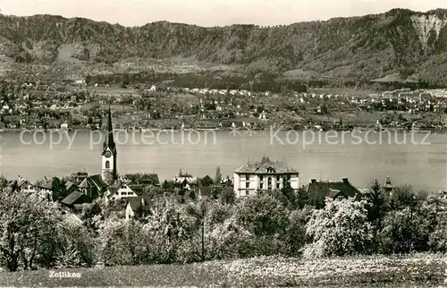 AK / Ansichtskarte Zollikon_ZH Panorama Zollikon ZH
