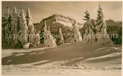 AK / Ansichtskarte Ebnat Kappel Winteridyll Ebnat Kappel