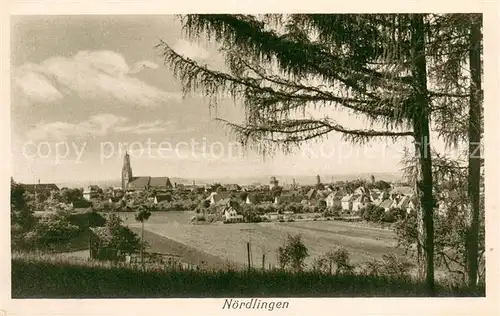 AK / Ansichtskarte Noerdlingen Panorama Noerdlingen