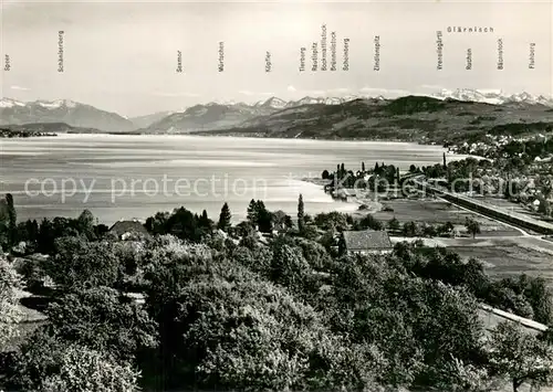 AK / Ansichtskarte Zuerichsee_ZH Landgasthof Blick von der Terrasse Zuerichsee ZH