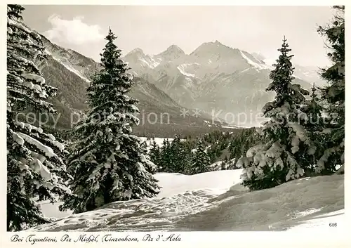 AK / Ansichtskarte Tgantieni_GR Piz Michel Tinzenhorn Piz d Aela 