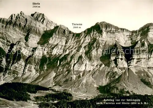 AK / Ansichtskarte Tierwies_AR Saentis Tierwies Aufstieg von der Schwaegalp 