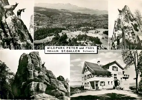 AK / Ansichtskarte St_Gallen_SG Wildpark Peter und Paul Gemsen Panorama Restaurant St_Gallen_SG