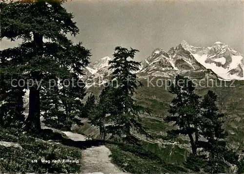 AK / Ansichtskarte Zermatt_VS Weg nach Riffelalp Zermatt_VS