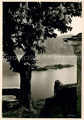 AK / Ansichtskarte Ronco_TI Panorama 