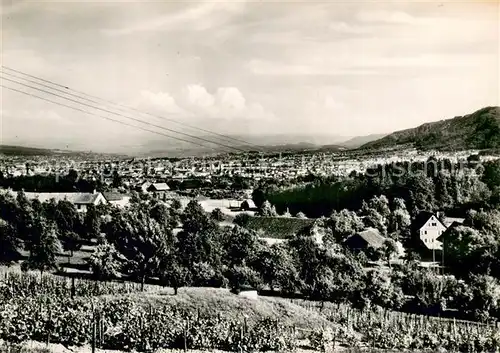 AK / Ansichtskarte Hoengg_Zuerich Tea Room Roetihof Panorama 