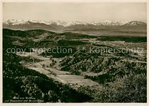 AK / Ansichtskarte Uetliberg_ZH Blick auf Reppischtal und Berner Alpen Uetliberg ZH
