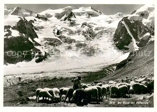 AK / Ansichtskarte Boval_GR Schaefer mit Herde und Bellavista 