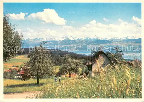 AK / Ansichtskarte Zuerichsee_ZH Panorama Zuerichsee ZH