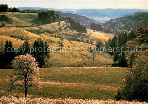 AK / Ansichtskarte Sitzberg_ZH Panorama 
