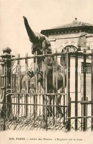 AK / Ansichtskarte Elefant Paris 