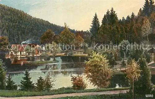 AK / Ansichtskarte Verlag_WIRO_Wiedemann_Nr. Nr.2452 A Triberg Schwarzwald Bergsee 