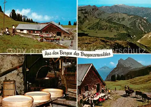 AK / Ansichtskarte Vorarlberg Alpsennerei im Bregenzerwald Alpenpanorama Vorarlberg